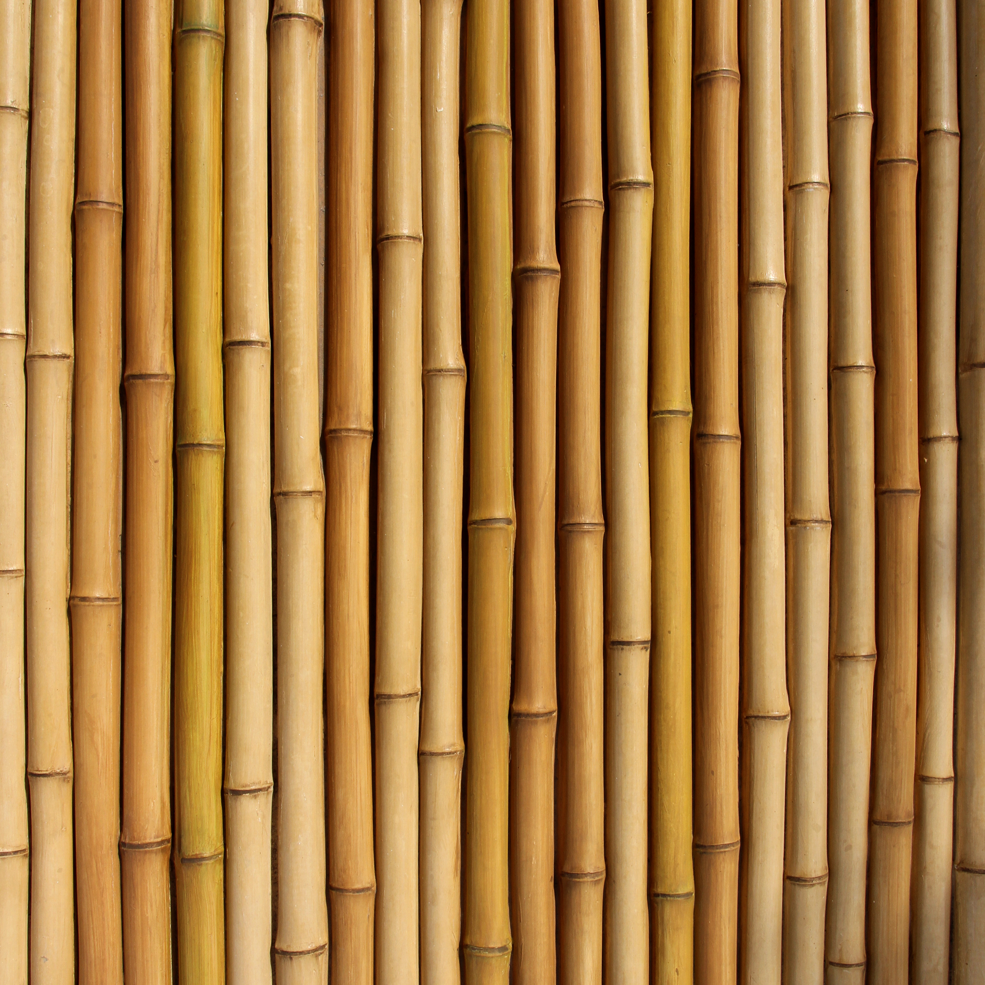 用于装饰的建筑 GRC 外墙